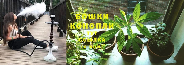 стафф Белокуриха