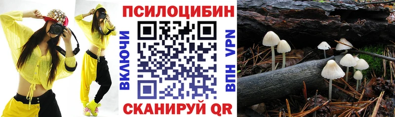 Псилоцибиновые грибы мицелий  Ахтубинск 