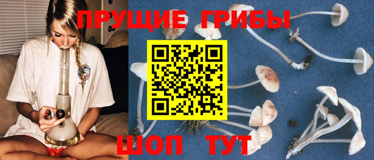 Псилоцибиновые грибы ЛСД Ахтубинск